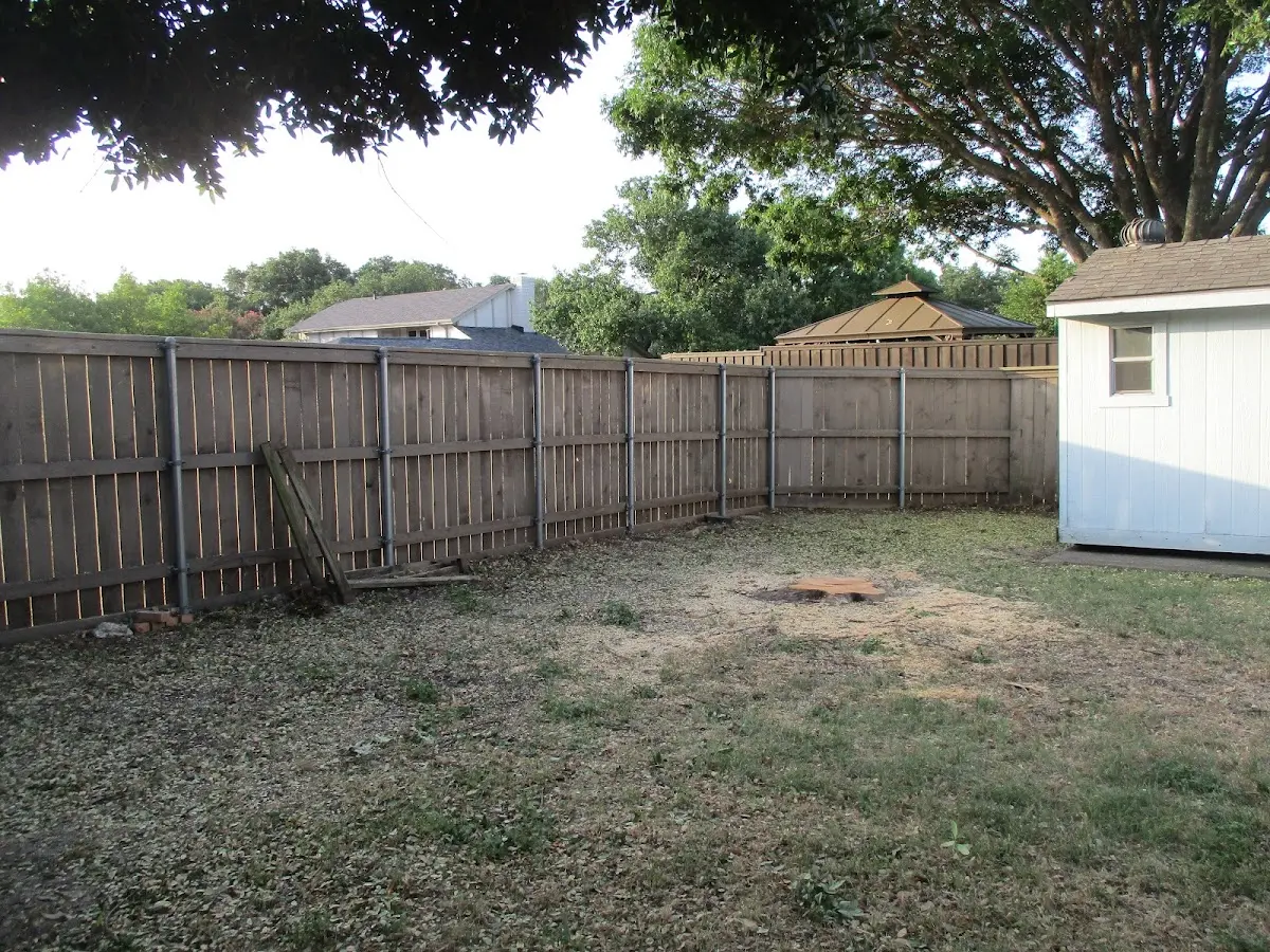 Cleared yard after professional tree removal in Buckeye