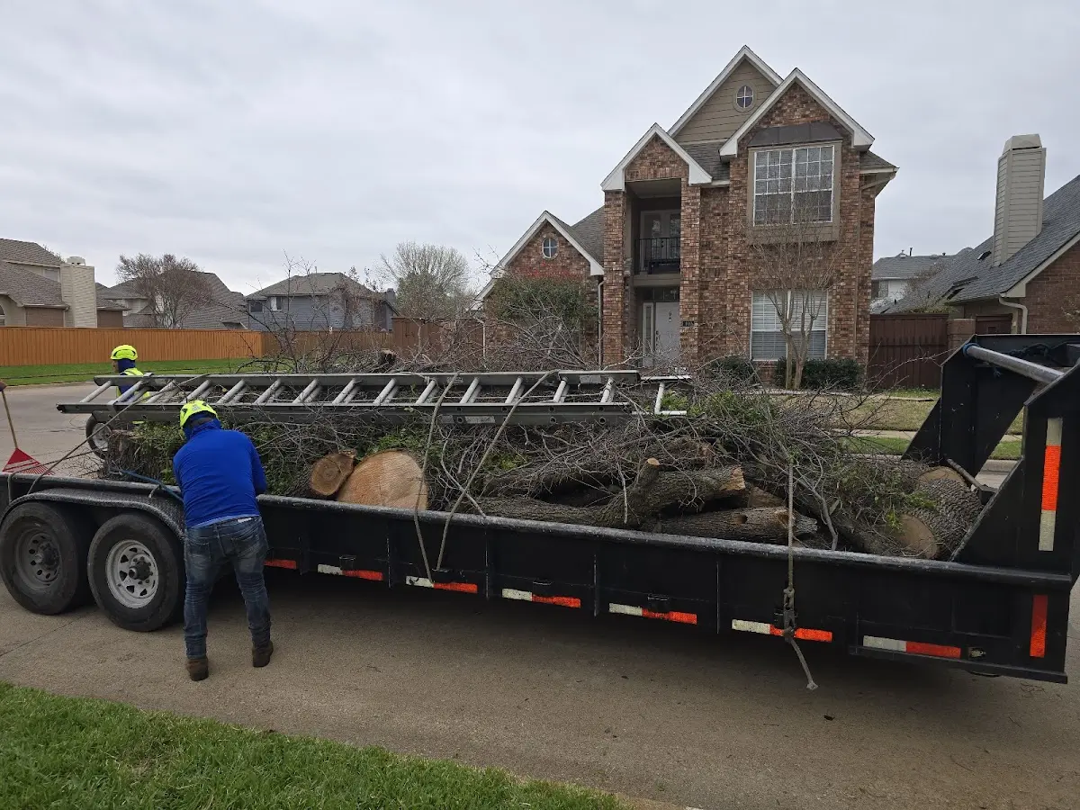 Expert Tree Fertilization with proper safety equipment in Buckeye